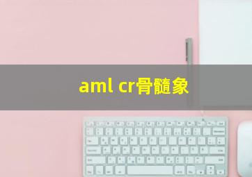 aml cr骨髓象